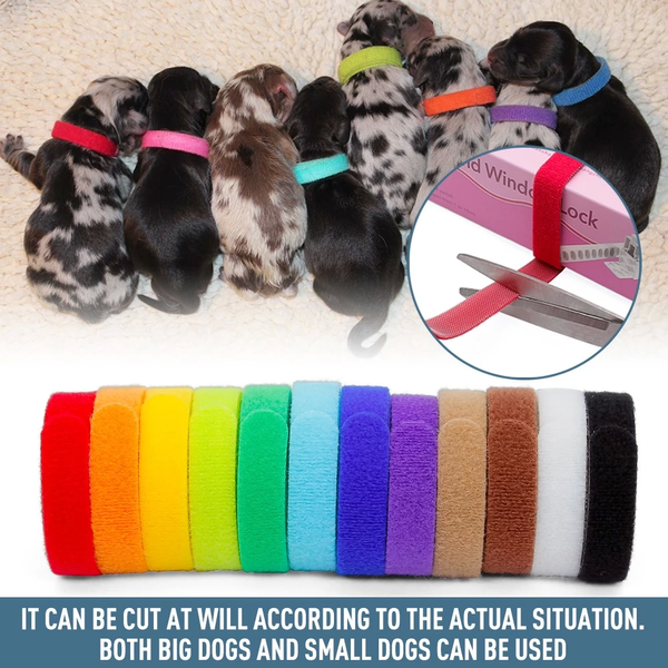 Комплект нашийників для цуценят і кошенят id Collars for Puppies, 12 шт. 6307 9090 00-S фото