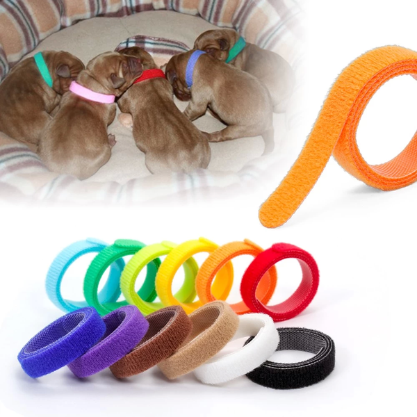 Комплект нашийників для цуценят і кошенят id Collars for Puppies, 12 шт. 6307 9090 00-S фото
