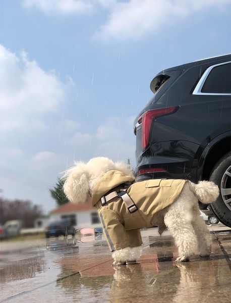 Світловідбивний дощовик для собак Derby R57 Khaki R57-S-khaki фото