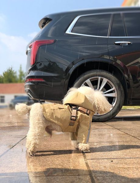 Світловідбивний дощовик для собак Derby R57 Khaki R57-S-khaki фото