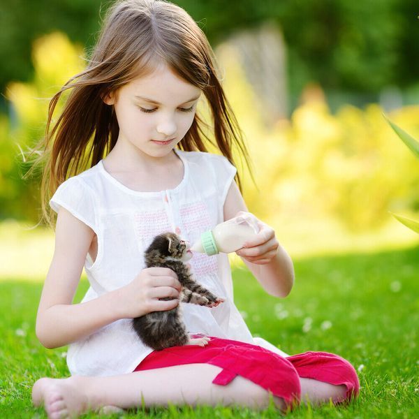 Набор для кормления щенков и котят Pet Nursing Bottle Kit 3926 9090 90 фото