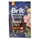 Сухой корм Brit Premium Dog Senior S+M для стареющих собак малых и средних пород, с курицей, 3 кг 170820/6390 фото 4