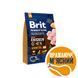 Сухой корм Brit Premium Dog Senior S+M для стареющих собак малых и средних пород, с курицей, 3 кг 170820/6390 фото 1