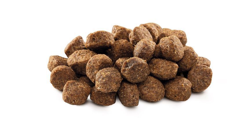 Сухой корм Brit Premium Dog Senior S+M для стареющих собак малых и средних пород, с курицей, 3 кг 170820/6390 фото