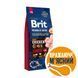 Сухой корм Brit Premium Dog Senior L+XL для стареющих собак больших пород, с курицей, 15 кг 170829/6482 фото 1