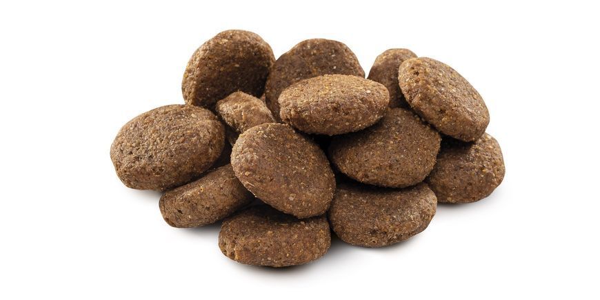 Сухой корм Brit Premium Dog Senior L+XL для стареющих собак больших пород, с курицей, 15 кг 170829/6482 фото