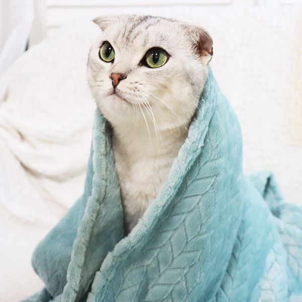 Плед для домашніх тварин Soft Warm Fluffy Pet Blanket 9404 9090 00 1-1 фото