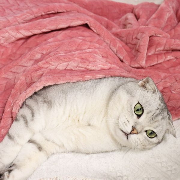 Плед для домашніх тварин Soft Warm Fluffy Pet Blanket 9404 9090 00 1-1 фото