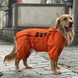 Комбінезон-дощовик для собак Derby Dog Suit Orange DS4201000090-25 фото 1