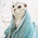 Плед для домашніх тварин Soft Warm Fluffy Pet Blanket 9404 9090 00 1-1 фото 8