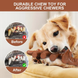 Игрушка для жевания для собак Derby Triceratops Shaped Dog Chew Toy PT0549-3 фото 3