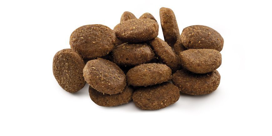 Сухой корм Brit Premium Dog Junior XL для щенков и юниоров гигантских пород, с курицей, 3 кг 170830/6499 фото