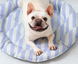 Охолоджуючий килимок для собак GEL Pet Cooling Mat Round Purple PCM01 фото 3