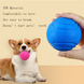 Жувальний м'яч для собак TPR Bouncy Pet Ball ZC501 фото 5