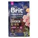 Сухий корм Brit Premium Dog Junior S для цуценят дрібних порід, з куркою, 3 кг 170807/6260 фото 4