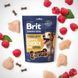 Ласощі для cобак Brit Premium Semi-moist Snacks Chicken with Raspberry напіввологі з куркою і малиною 180 г BP_112279 фото 3