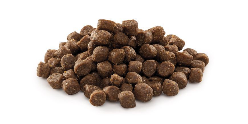 Сухий корм Brit Premium Dog Junior S для цуценят дрібних порід, з куркою, 3 кг 170807/6260 фото