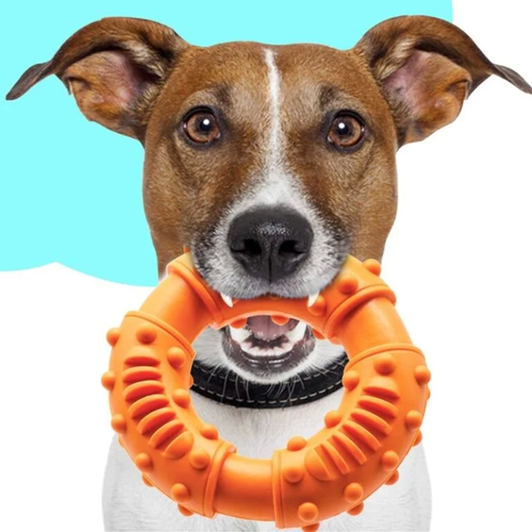 Игрушка-кольцо для собак Derby Rubber Dog Chew Toy Ring AD288009879 фото