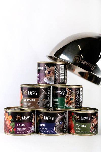 Влажный корм Savory для котят, с индейкой, 100 г Savory_30679 фото