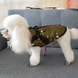 Зимова куртка для собак Derby Fashion Sports D76 Army Green D76-S-green фото 3