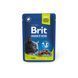 Вологий корм Brit Premium Cat pouch для стерилізованих котів, ягнятина, 100 г BP_111831 фото 1