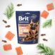 Ласощі для cобак Brit Premium Semi-moist Snacks Salmon with Dill напіввологі з лососем і кропом 180 г BP_112281 фото 3