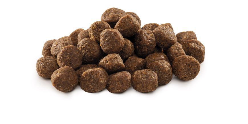 Сухий корм Brit Premium Dog Junior M для цуценят та юніорів середніх порід, з куркою, 1 кг 170812/6314 фото