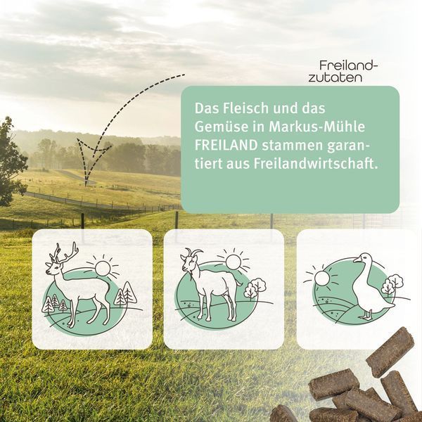 Сухий корм для собак Markus-M&uuml;hle Freiland Wild з дичиною (лань) FW150 фото