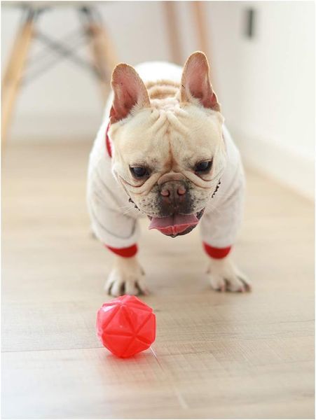 Светящийся мячик для собак Diamond Shape Elastic Squeaky Dog Ball с пищалкой 8FP600785 фото