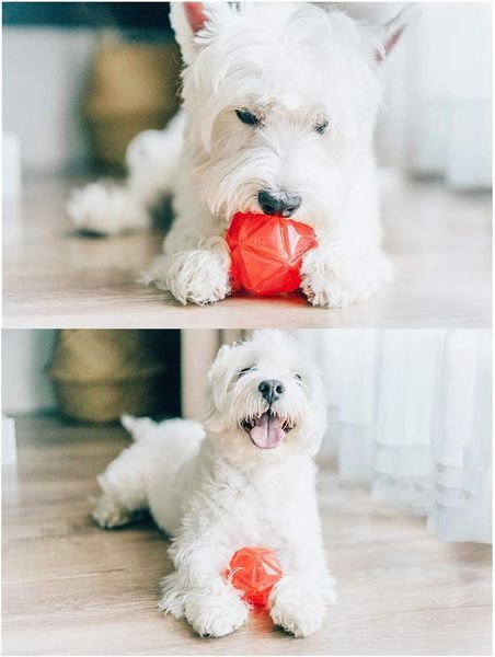 Светящийся мячик для собак Diamond Shape Elastic Squeaky Dog Ball с пищалкой 8FP600785 фото