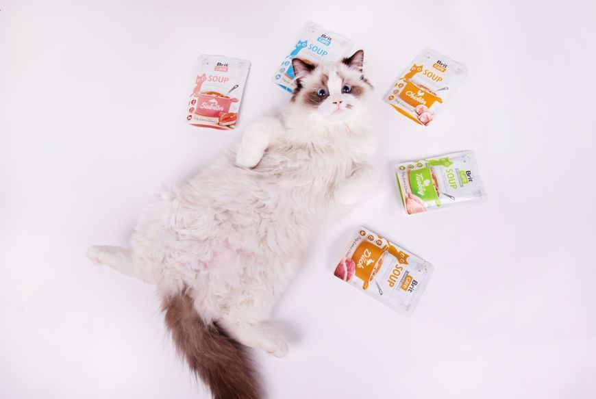 Корм вологий "Суп для котів Brit Care Soup with Turkey з індичкою", 75 г BP_101057 фото