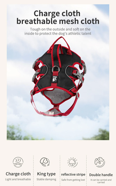 Шлея для собак Derby Pet harness FH107 FH107Y-L фото