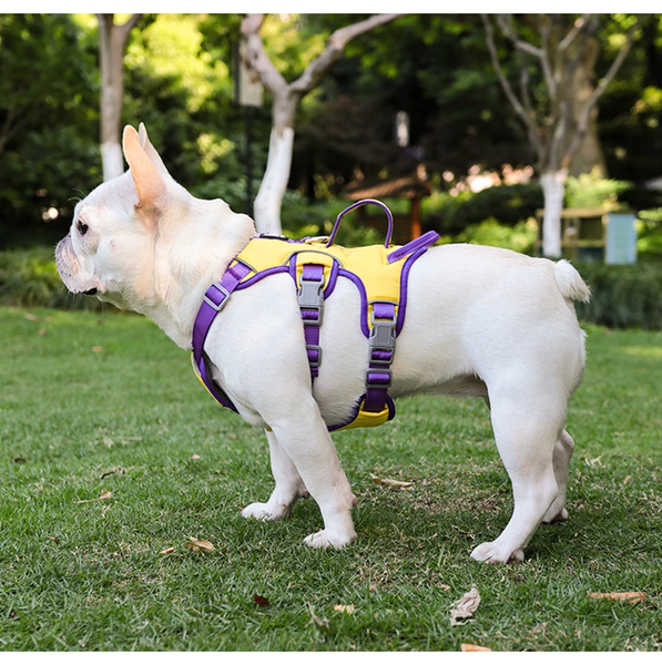 Шлея для собак Derby Pet harness FH107 FH107Y-L фото