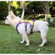 Шлея для собак Derby Pet harness FH107 FH107Y-L фото 2