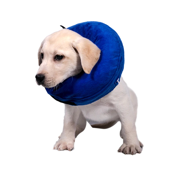 Защитный надувной ошейник для собак Derby Protective Inflatable Dog Cone Collar Blue HK-CC-104-1blue фото