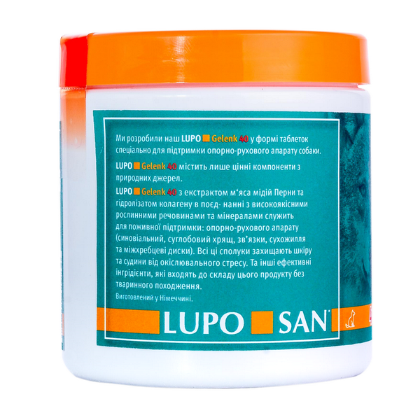 Таблетки для зміцнення суглобів LUPO Gelenk 40 Tabletten (таблетки) LM-D1116-90 фото