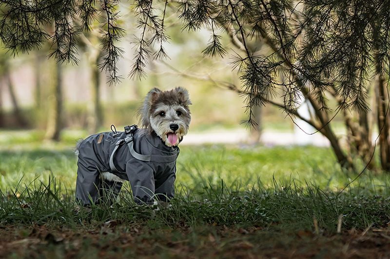 Світловідбивний дощовик-комбінезон для собак Derby R61 Grey Reflective R61-S-grey фото