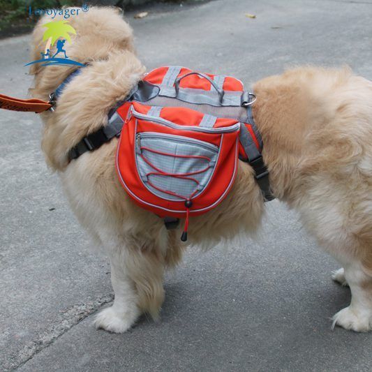 Сумка-переноска для собак с передней частью для бега Lovoyager Dog Bagpack LV05-M фото