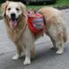 Сумка-переноска для собак с передней частью для бега Lovoyager Dog Bagpack LV05-M фото 10