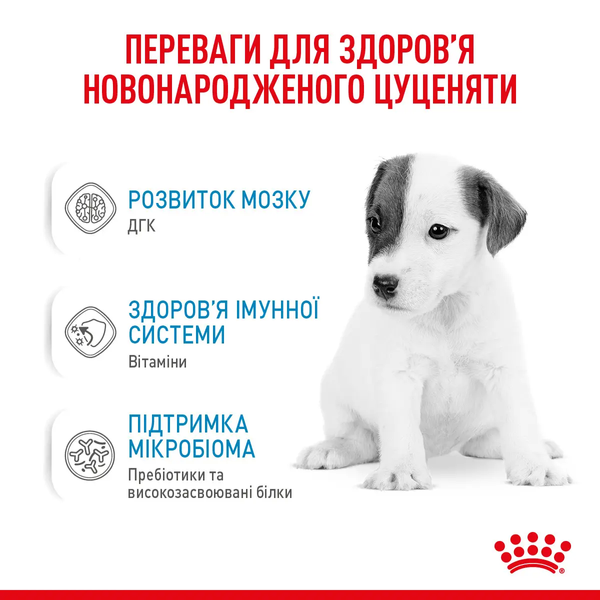Замінник молока Royal Canin BabyDog Milk для цуценят 2300010 фото