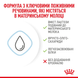 Замінник молока Royal Canin BabyDog Milk для цуценят 2300010 фото 3