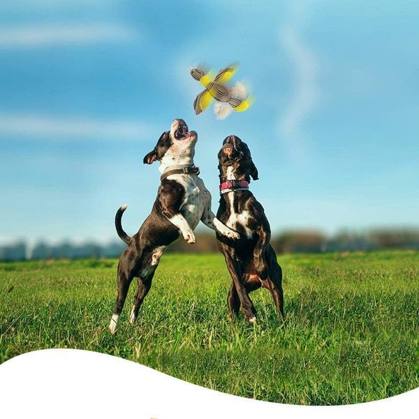 М'яка іграшка для собак Bird Shaped Squeaky Dog Plush Toy з мотузками і пищалкою SL1001-01 фото