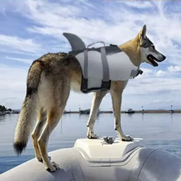 Спасательный жилет для собак Shark Design 4201 0000 90-81-1 фото